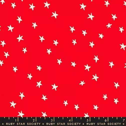 Starry New Ladybug