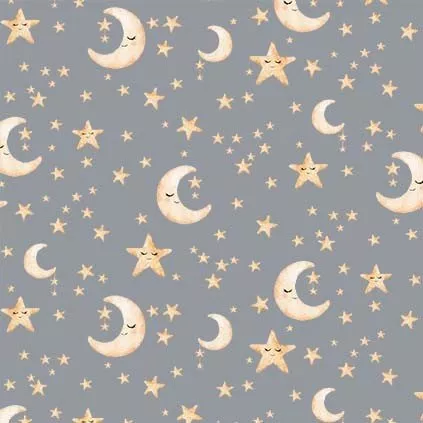 Stellar Stars - DC11629-Gray-D by Michael Miller