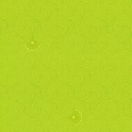 summer-lovin-lime-slices Summer Lovin Lime Slices