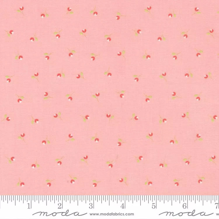 Sunwashed Carnation 29164 22 Moda