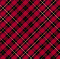 Tartan Plaid Red- Checking It Twice