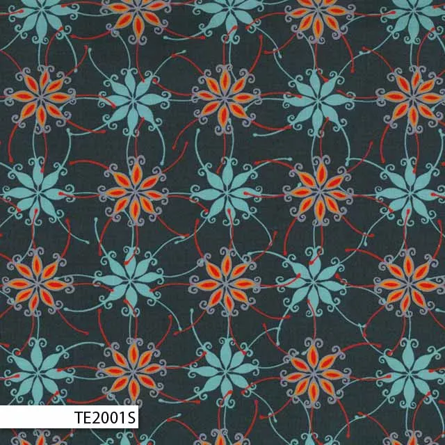 Terra Australis – TE2001S