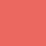 Tilda-Solid Salmon