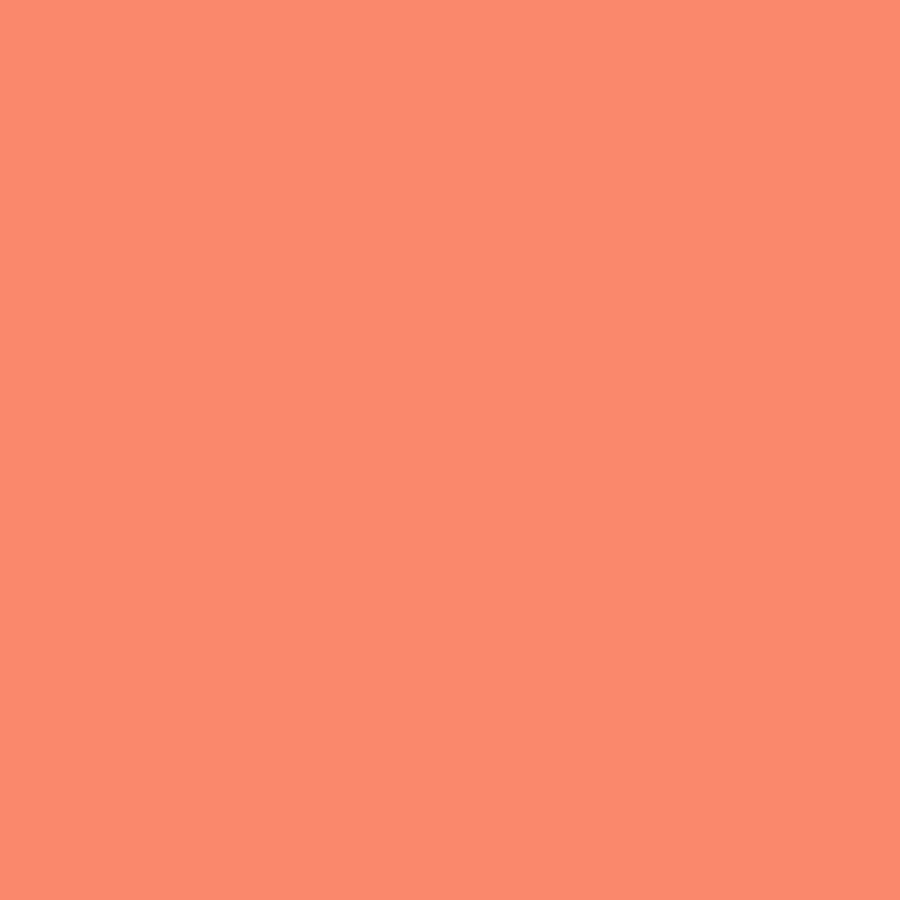 Tula Pink Solids – Persimmon