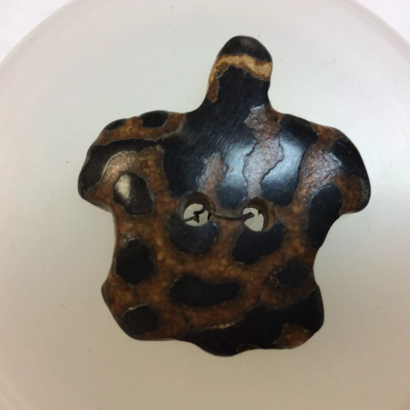 Turtle Button 1 1/4 Inches