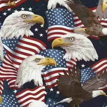 USA Eagle C5566 Timeless Treasures