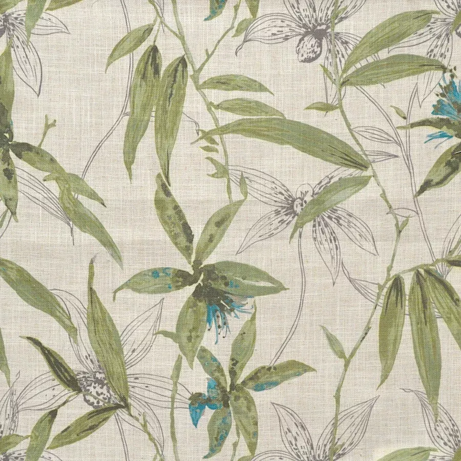 violatte-tropic VIOLATTE TROPIC