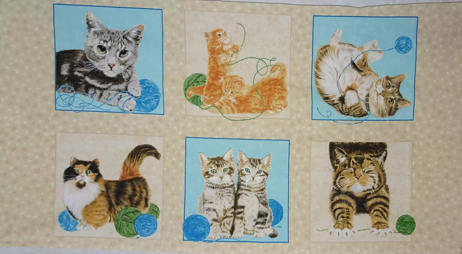 Where’s the Cat Panel