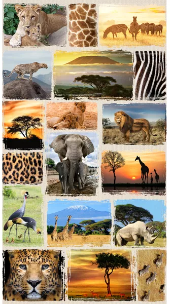 wild-kingdom-panel-savannah Wild Kingdom Panel (Savannah)