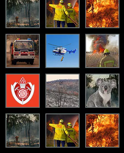 wildfire-heroes-panel-d Wildfire Heroes Panel (D)